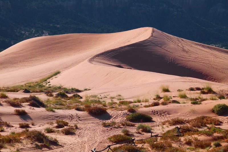 Desert Landscape